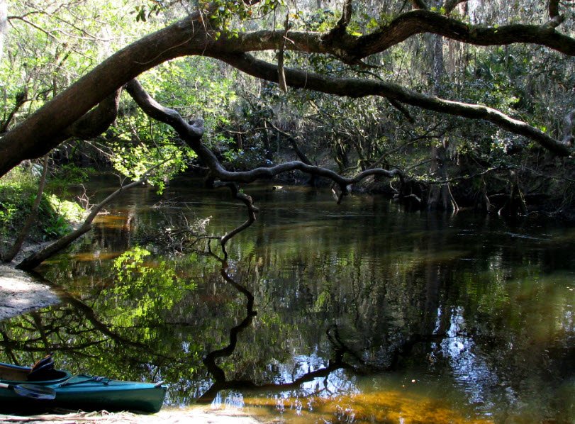 Alafia River State Park, Florida, USA
